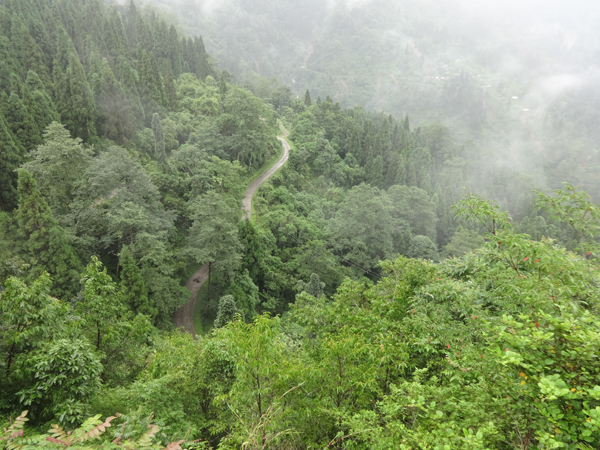 Neora Valley near Kolakham